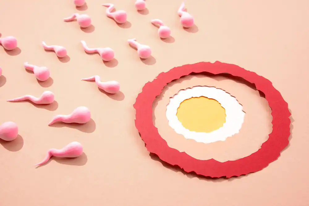 Ovulation Induction